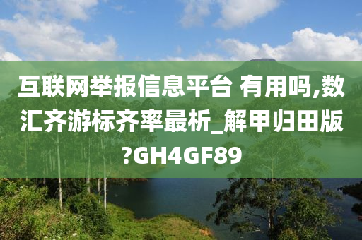 互联网举报信息平台 有用吗,数汇齐游标齐率最析_解甲归田版?GH4GF89