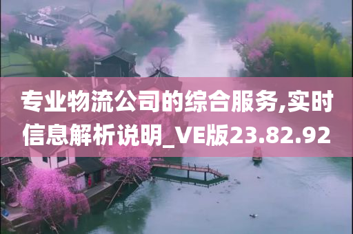 专业物流公司的综合服务,实时信息解析说明_VE版23.82.92