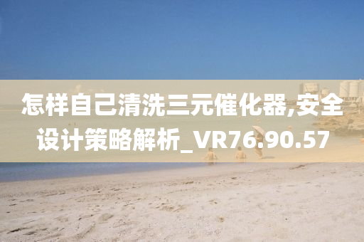 怎样自己清洗三元催化器,安全设计策略解析_VR76.90.57