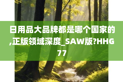 日用品大品牌都是哪个国家的,正版领域深度_SAW版?HHG77