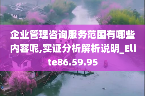 企业管理咨询服务范围有哪些内容呢,实证分析解析说明_Elite86.59.95