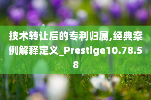 技术转让后的专利归属,经典案例解释定义_Prestige10.78.58