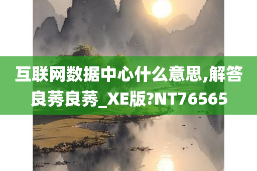 互联网数据中心什么意思,解答良莠良莠_XE版?NT76565