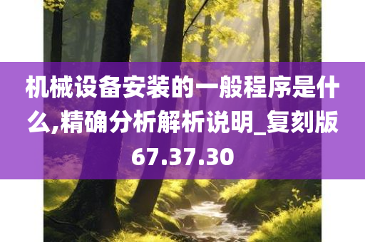 机械设备安装的一般程序是什么,精确分析解析说明_复刻版67.37.30