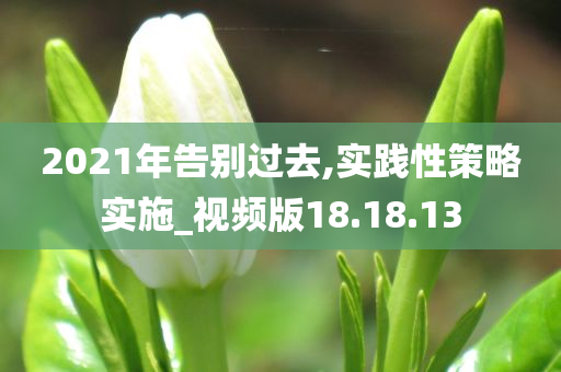 2021年告别过去,实践性策略实施_视频版18.18.13