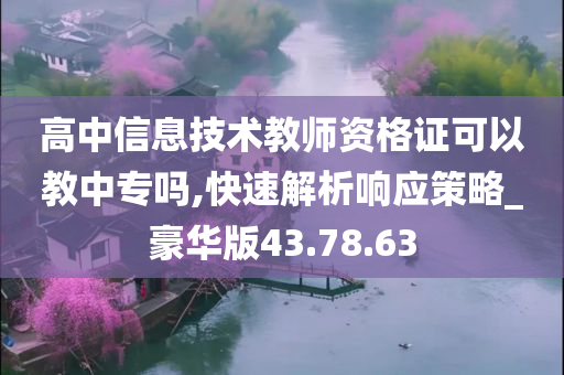 高中信息技术教师资格证可以教中专吗,快速解析响应策略_豪华版43.78.63