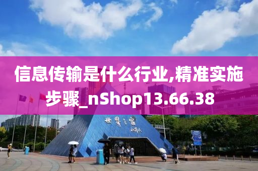 信息传输是什么行业,精准实施步骤_nShop13.66.38