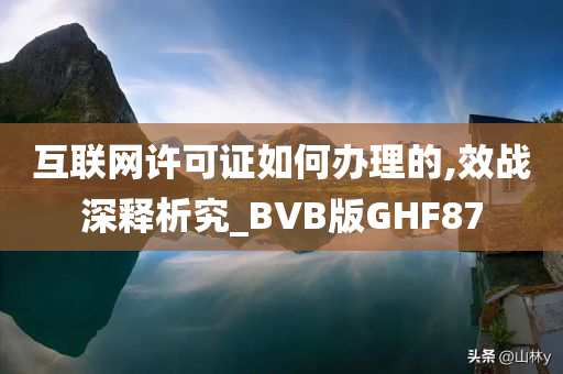 互联网许可证如何办理的,效战深释析究_BVB版GHF87