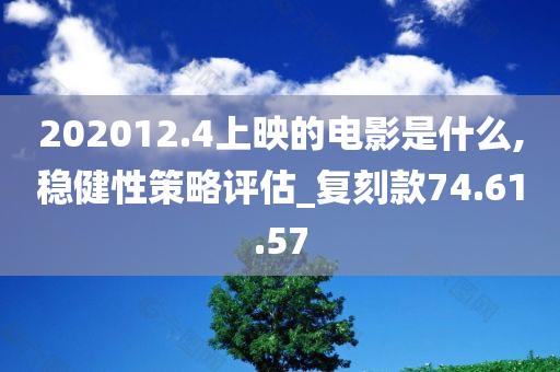 202012.4上映的电影是什么,稳健性策略评估_复刻款74.61.57