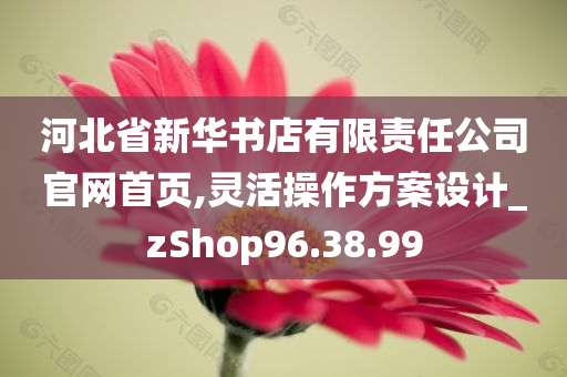 河北省新华书店有限责任公司官网首页,灵活操作方案设计_zShop96.38.99