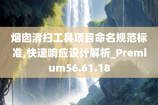 烟囱清扫工具项目命名规范标准,快速响应设计解析_Premium56.61.18