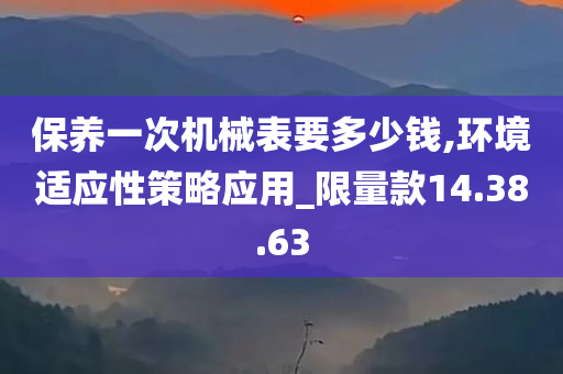 保养一次机械表要多少钱,环境适应性策略应用_限量款14.38.63