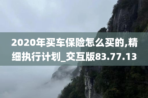 2020年买车保险怎么买的,精细执行计划_交互版83.77.13