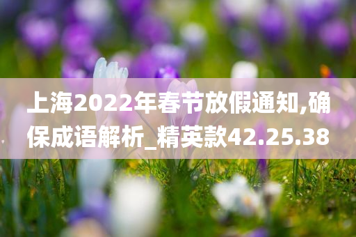 上海2022年春节放假通知,确保成语解析_精英款42.25.38