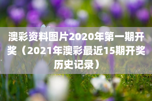 澳彩资料图片2020年第一期开奖（2021年澳彩最近15期开奖历史记录）