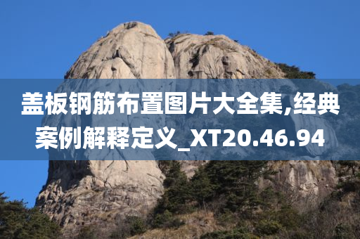 盖板钢筋布置图片大全集,经典案例解释定义_XT20.46.94