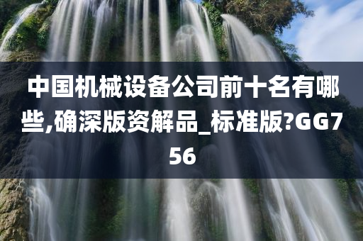 中国机械设备公司前十名有哪些,确深版资解品_标准版?GG756