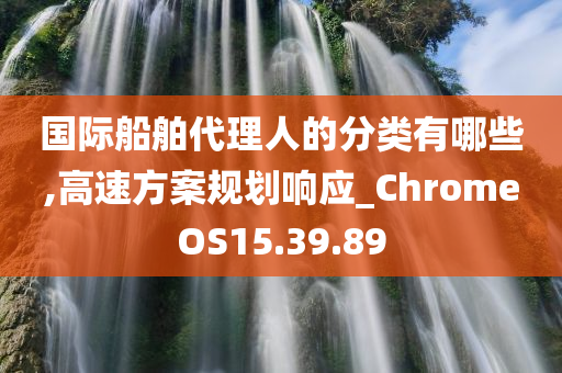 国际船舶代理人的分类有哪些,高速方案规划响应_ChromeOS15.39.89