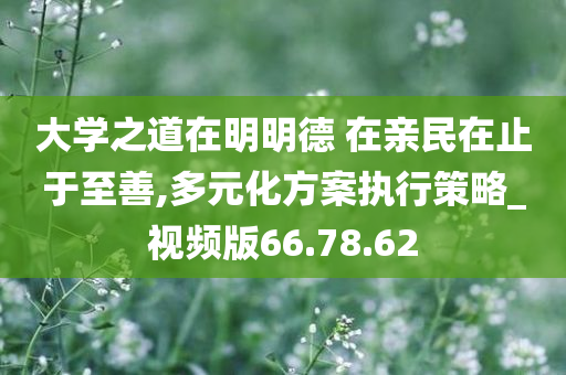 大学之道在明明德 在亲民在止于至善,多元化方案执行策略_视频版66.78.62