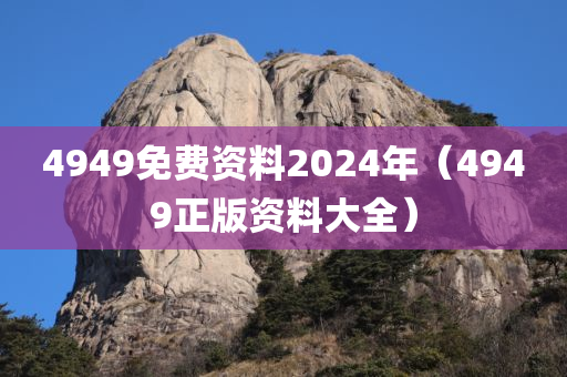 4949免费资料2024年（4949正版资料大全）