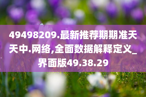 49498209.最新推荐期期准天天中.网络,全面数据解释定义_界面版49.38.29