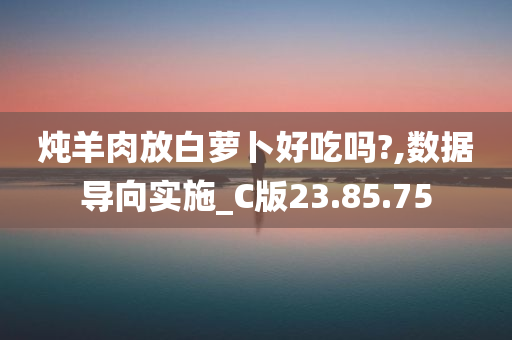 炖羊肉放白萝卜好吃吗?,数据导向实施_C版23.85.75