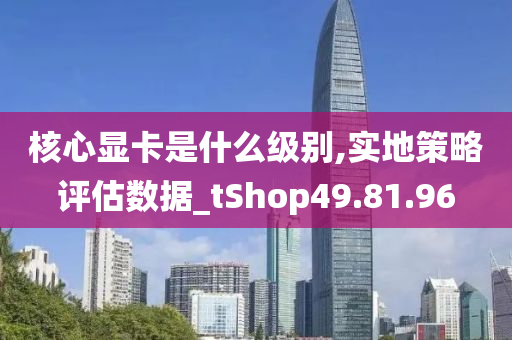 核心显卡是什么级别,实地策略评估数据_tShop49.81.96