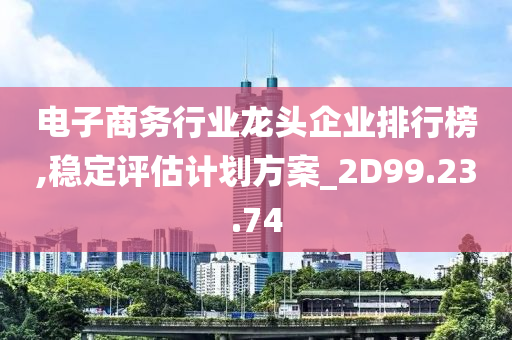 电子商务行业龙头企业排行榜,稳定评估计划方案_2D99.23.74