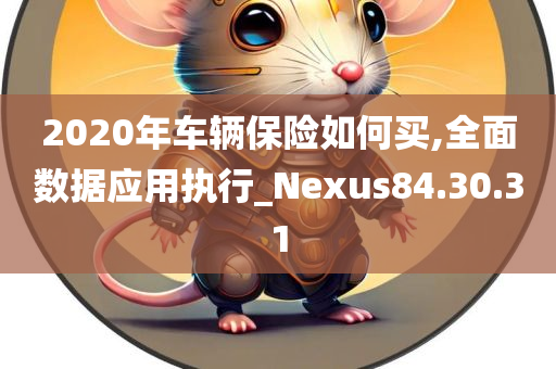 2020年车辆保险如何买,全面数据应用执行_Nexus84.30.31