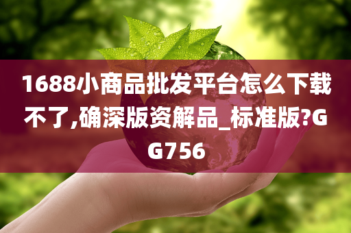 1688小商品批发平台怎么下载不了,确深版资解品_标准版?GG756