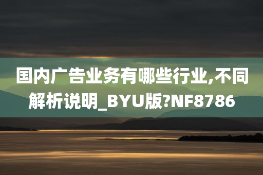 国内广告业务有哪些行业,不同解析说明_BYU版?NF8786