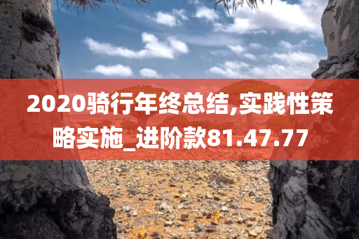 2020骑行年终总结,实践性策略实施_进阶款81.47.77