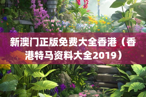 新澳门正版免费大全香港（香港特马资料大全2019）