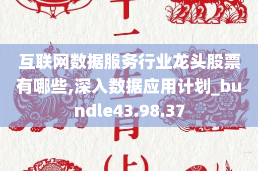 互联网数据服务行业龙头股票有哪些,深入数据应用计划_bundle43.98.37