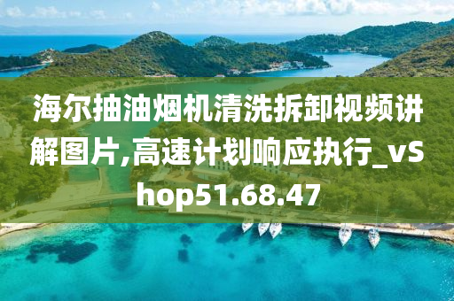 海尔抽油烟机清洗拆卸视频讲解图片,高速计划响应执行_vShop51.68.47