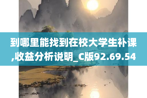 到哪里能找到在校大学生补课,收益分析说明_C版92.69.54