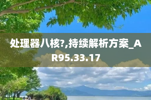 处理器八核?,持续解析方案_AR95.33.17