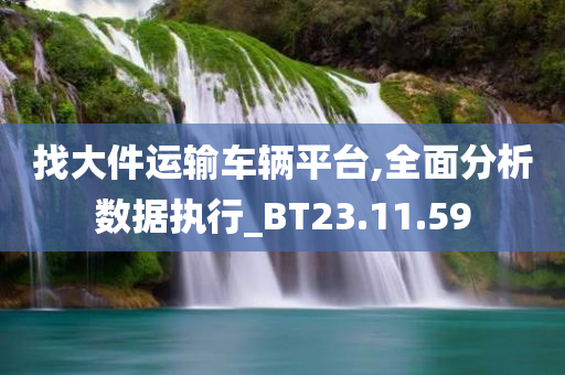 找大件运输车辆平台,全面分析数据执行_BT23.11.59