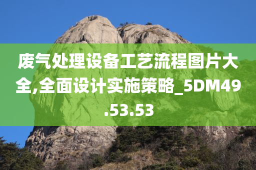 废气处理设备工艺流程图片大全,全面设计实施策略_5DM49.53.53