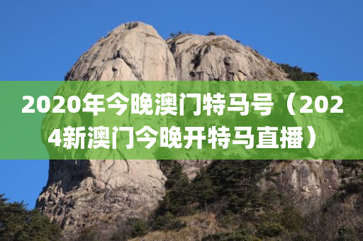 2020年今晚澳门特马号（2024新澳门今晚开特马直播）