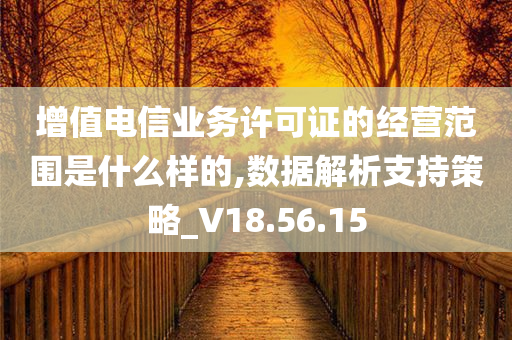 增值电信业务许可证的经营范围是什么样的,数据解析支持策略_V18.56.15