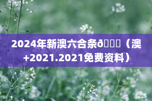 2024年新澳六合条🐎（澳+2021.2021免费资料）