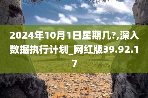 2024年10月1日星期几?,深入数据执行计划_网红版39.92.17