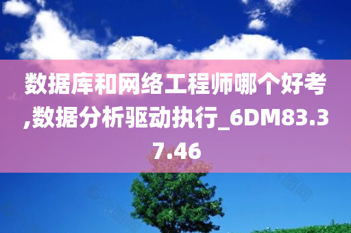 数据库和网络工程师哪个好考,数据分析驱动执行_6DM83.37.46