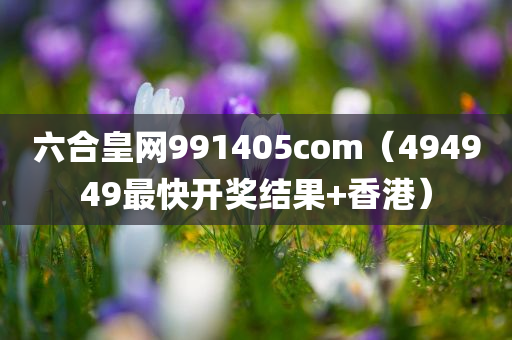 六合皇网991405com（494949最快开奖结果+香港）