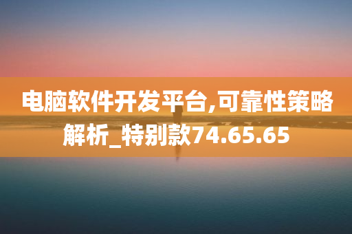 电脑软件开发平台,可靠性策略解析_特别款74.65.65