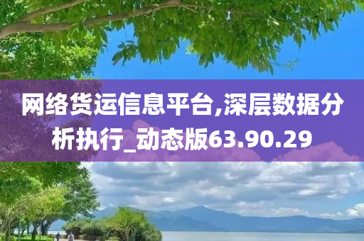 网络货运信息平台,深层数据分析执行_动态版63.90.29