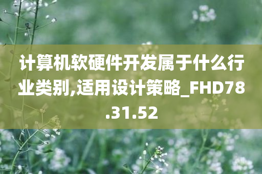 计算机软硬件开发属于什么行业类别,适用设计策略_FHD78.31.52