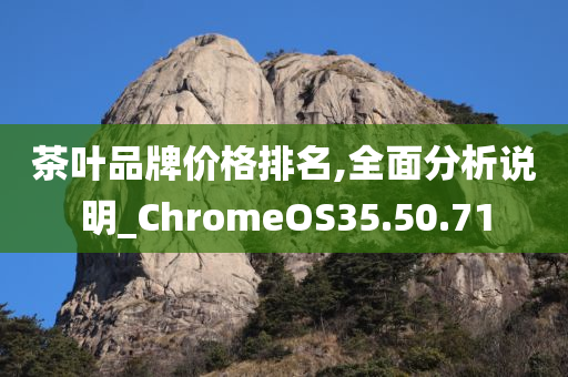 茶叶品牌价格排名,全面分析说明_ChromeOS35.50.71