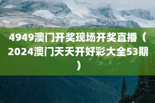 4949澳门开奖现场开奖直播（2024澳门天天开好彩大全53期）